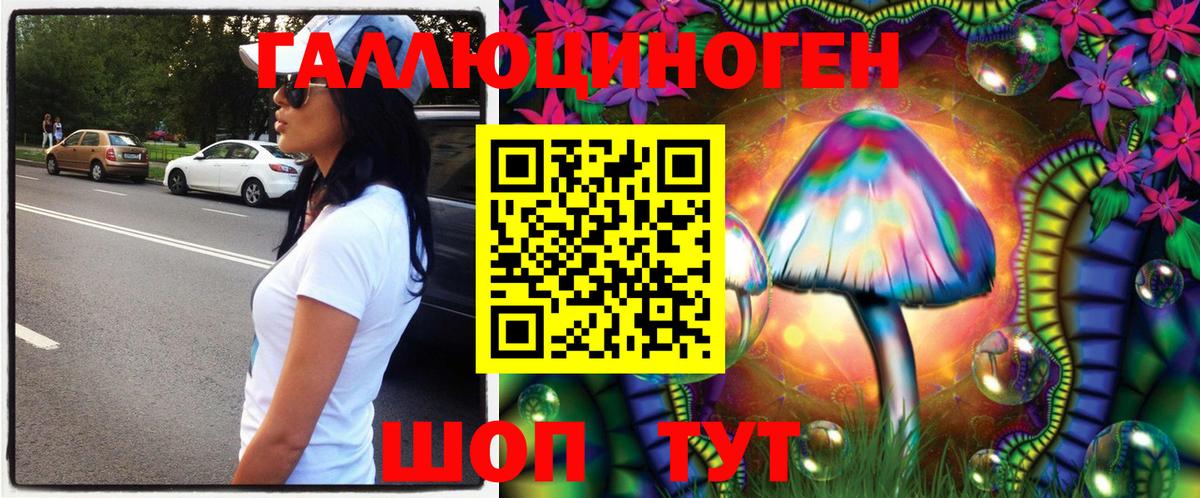 где продают наркотики  Вход с VPN  Баксан  Галлюциногенные грибы Psilocybine cubensis  Галлюциногенные грибы Magic Shrooms 