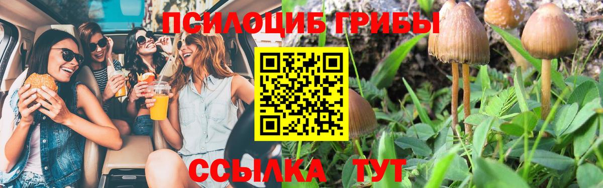 Галлюциногенные грибы Cubensis Баксан